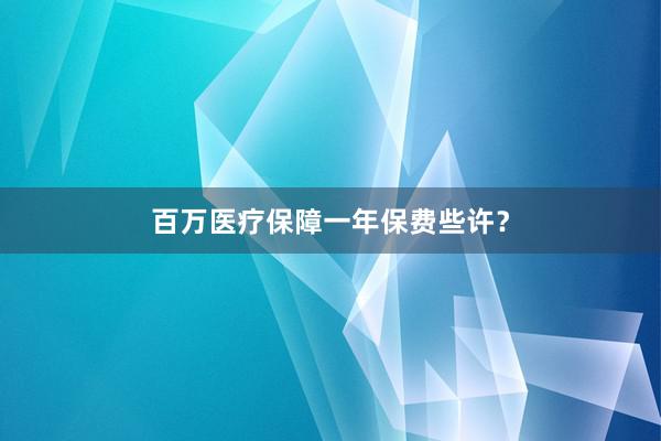 百万医疗保障一年保费些许？