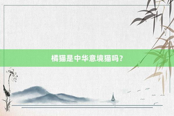 橘猫是中华意境猫吗？