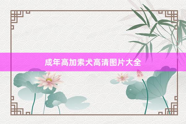 成年高加索犬高清图片大全