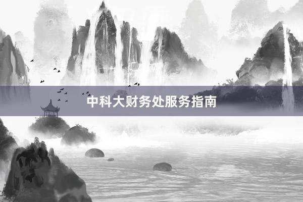 中科大财务处服务指南