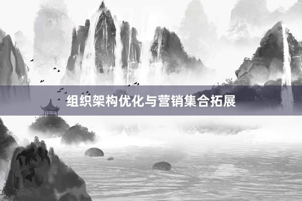 组织架构优化与营销集合拓展