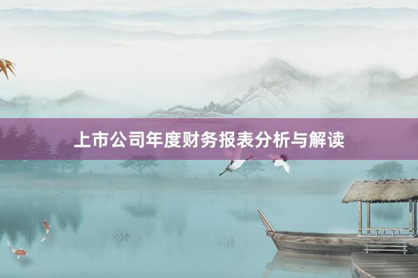 上市公司年度财务报表分析与解读